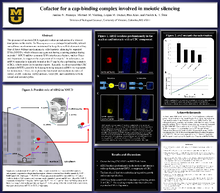 mu_427682-Thumbnail Image.png