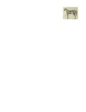mu_195827-204-Thumbnail Image.jpg