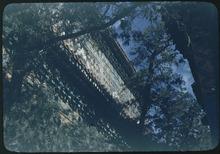 mu_420453-Thumbnail Image.jpg
