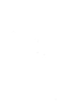 mu_367476-001-Thumbnail Image.jpg