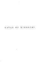 mu_417796-Thumbnail Image.png