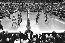 mu_419053-Thumbnail Image.jpg