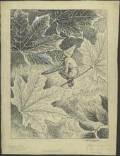 mu_419320-Thumbnail Image.jpg